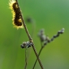 ZZ025_printemps_xavier_jamonet_ecrins_de_lumiere