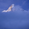 ZZ037_printemps_xavier_jamonet_ecrins_de_lumiere