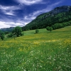 ZZ058_printemps_xavier_jamonet_ecrins_de_lumiere