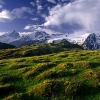 ZZ061_printemps_xavier_jamonet_ecrins_de_lumiere