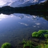 ZZ064_printemps_xavier_jamonet_ecrins_de_lumiere