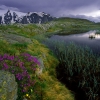 ZZ066_printemps_xavier_jamonet_ecrins_de_lumiere