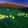 ZZ069_printemps_xavier_jamonet_ecrins_de_lumiere