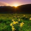 ZZ074_printemps_xavier_jamonet_ecrins_de_lumiere