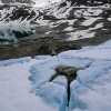 ZZ078_printemps_xavier_jamonet_ecrins_de_lumiere