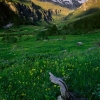 ZZ079_printemps_xavier_jamonet_ecrins_de_lumiere