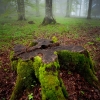ZZ108_printemps_xavier_jamonet_ecrins_de_lumiere