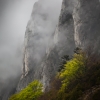 ZZ109_printemps_xavier_jamonet_ecrins_de_lumiere