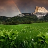ZZ111_printemps_xavier_jamonet_ecrins_de_lumiere