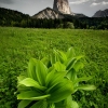 ZZ112_printemps_xavier_jamonet_ecrins_de_lumiere