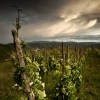 Bienvenue sur les terres de l'Hermitage