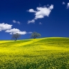 ZZ004_toscane_xavier_jamonet_ecrins_de_lumiere