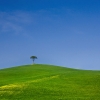 Colline dégarnie