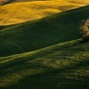 ZZ011_toscane_xavier_jamonet_ecrins_de_lumiere