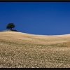 ZZ013_toscane_xavier_jamonet_ecrins_de_lumiere