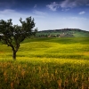 ZZ205_toscane_xavier_jamonet_ecrins_de_lumiere