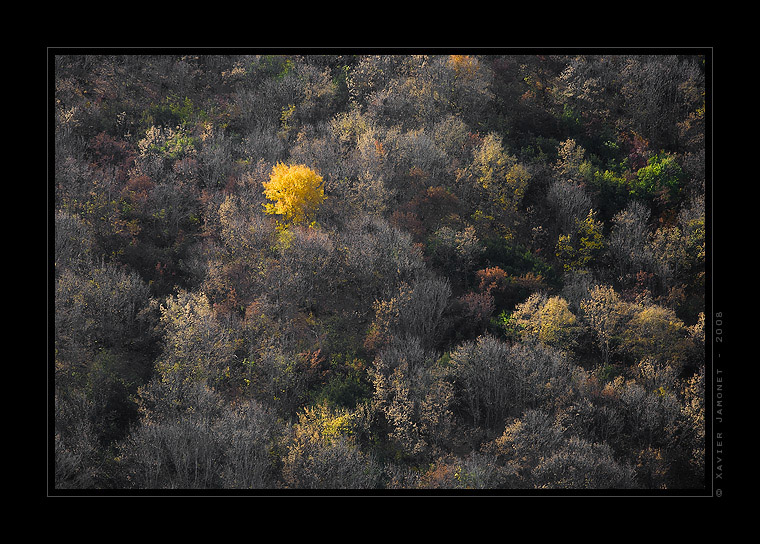 Ecrins