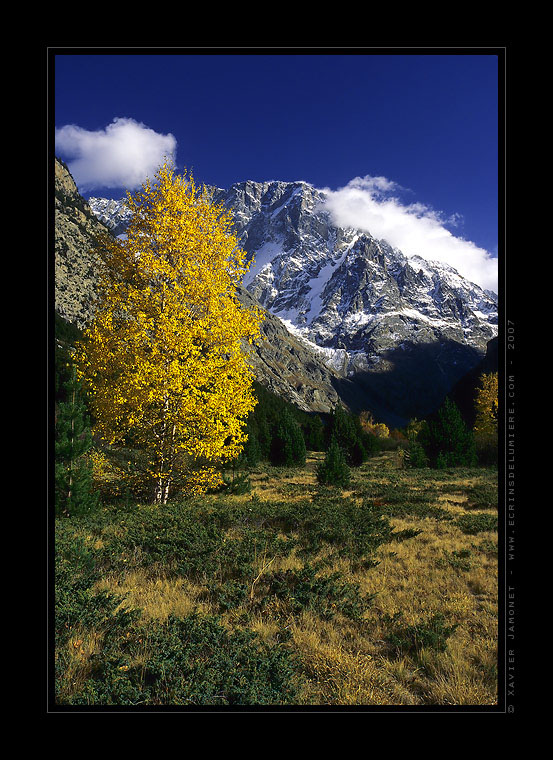 Ecrins