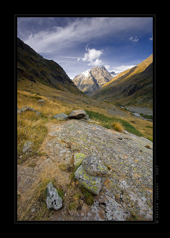 Ecrins