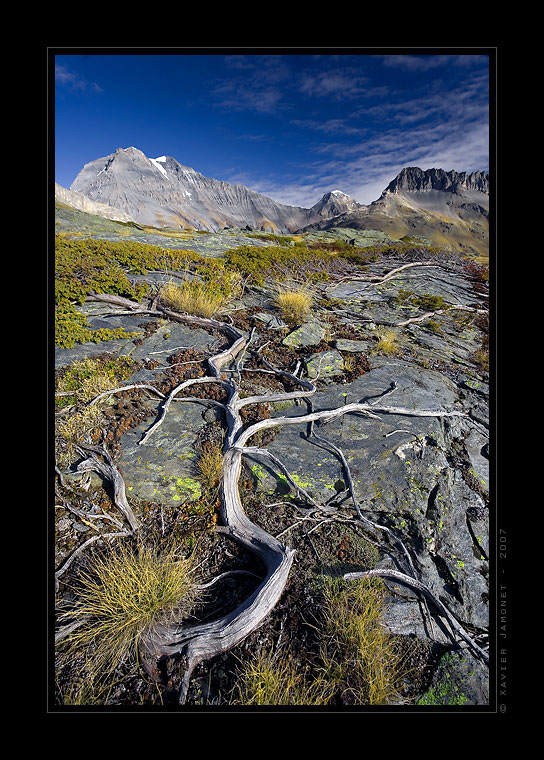 Vanoise