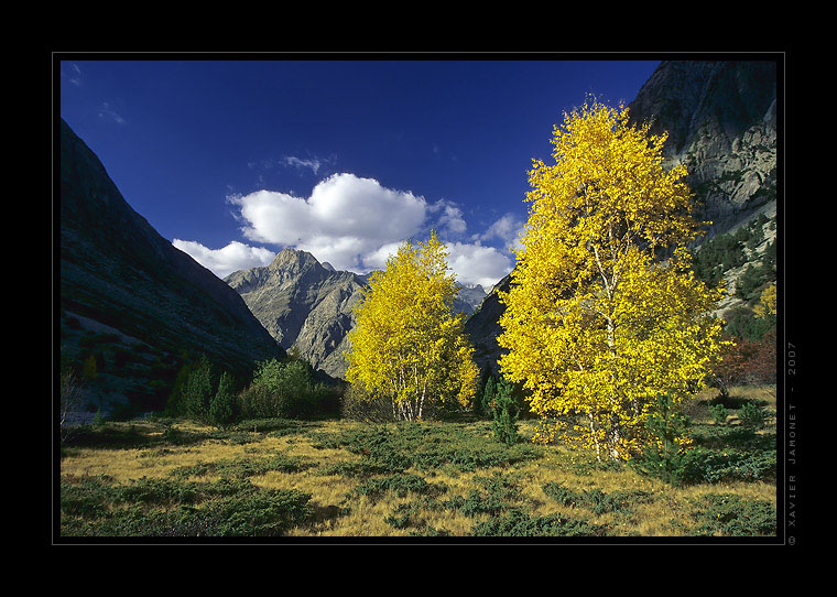 Ecrins