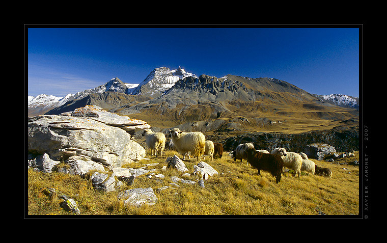 Vanoise