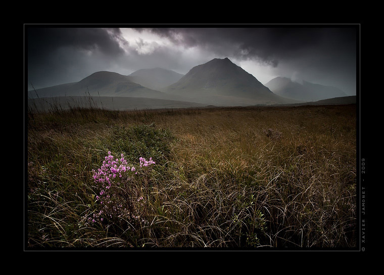 Rannoch Moor