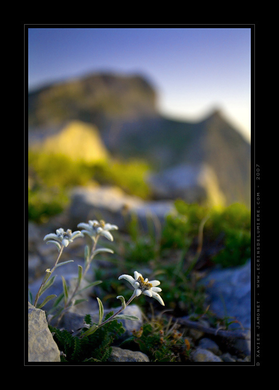 Vercors