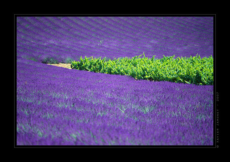 Drôme provençale