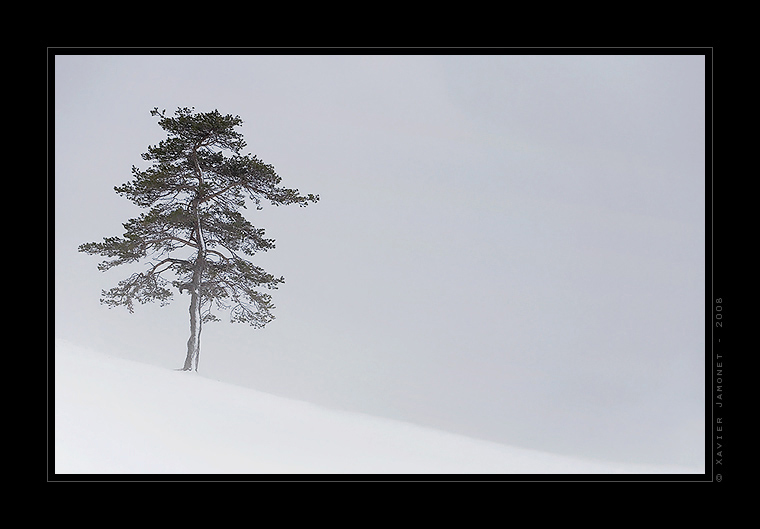 Vercors