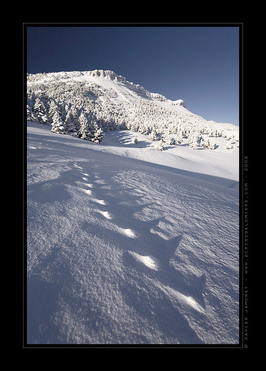 Vercors