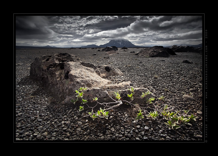 Herðubreið