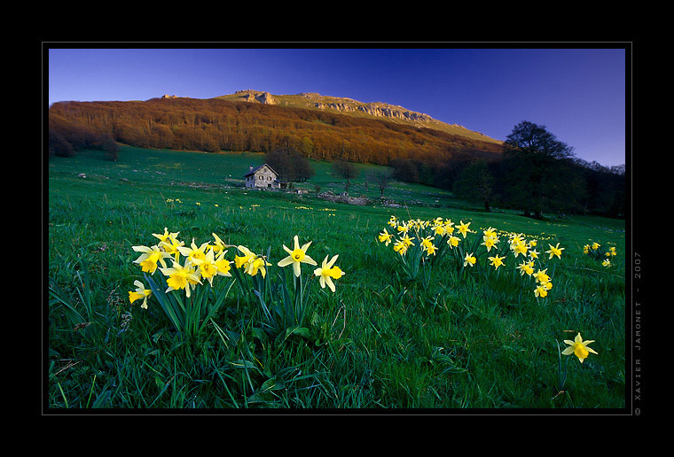 Vercors