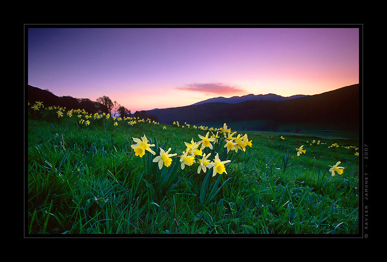 Vercors