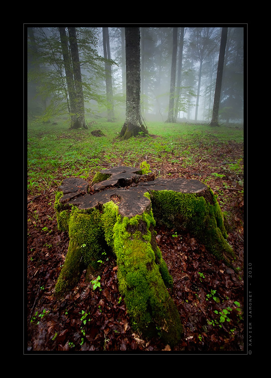 Vercors