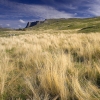 Montagne de la Sausse