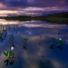 Crépuscule au Lac Guichard